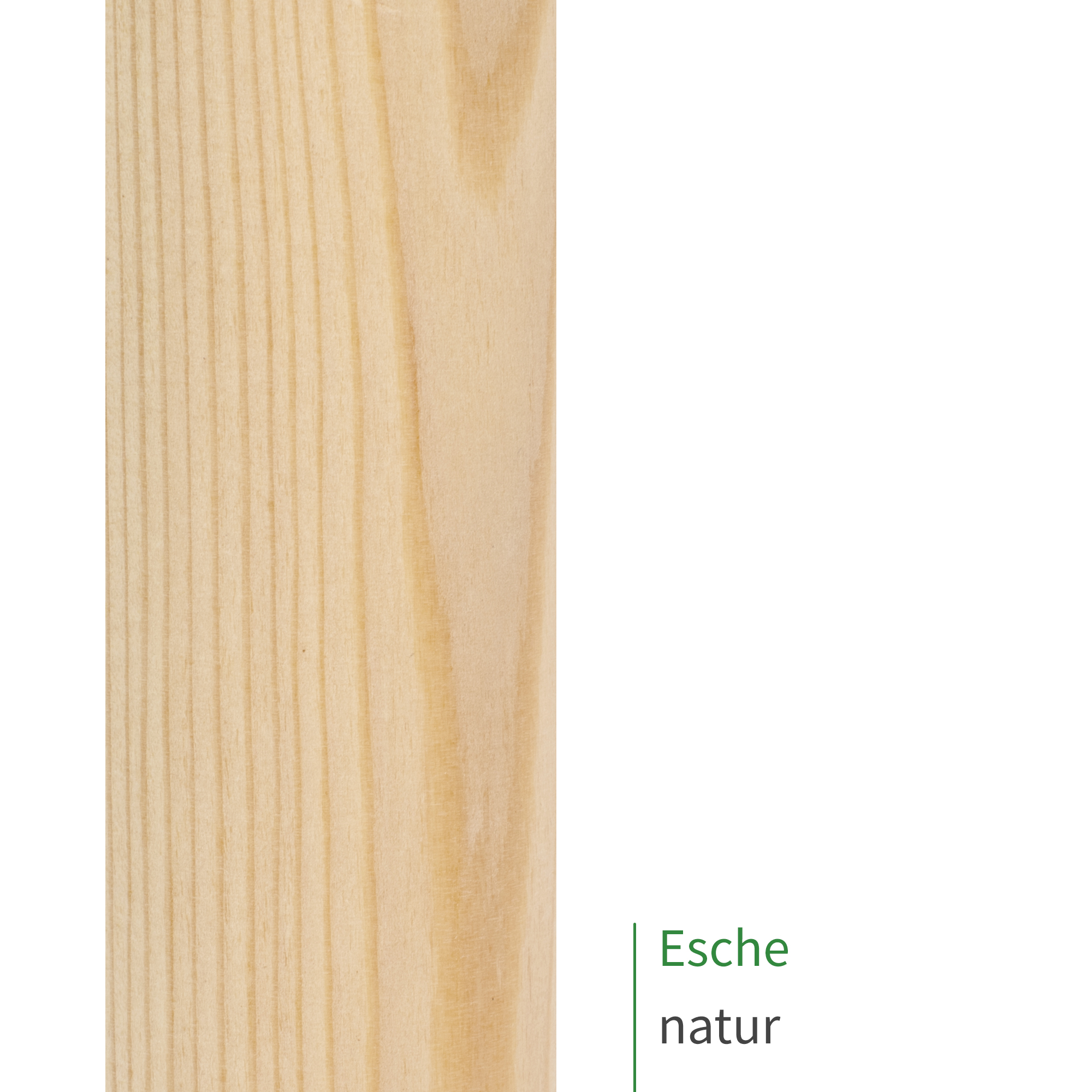 Oberflächenmuster Handlauf Esche natur unbehandelt, rundes helles Holz mit feiner Maserung, Nahaufnahme hochkant
