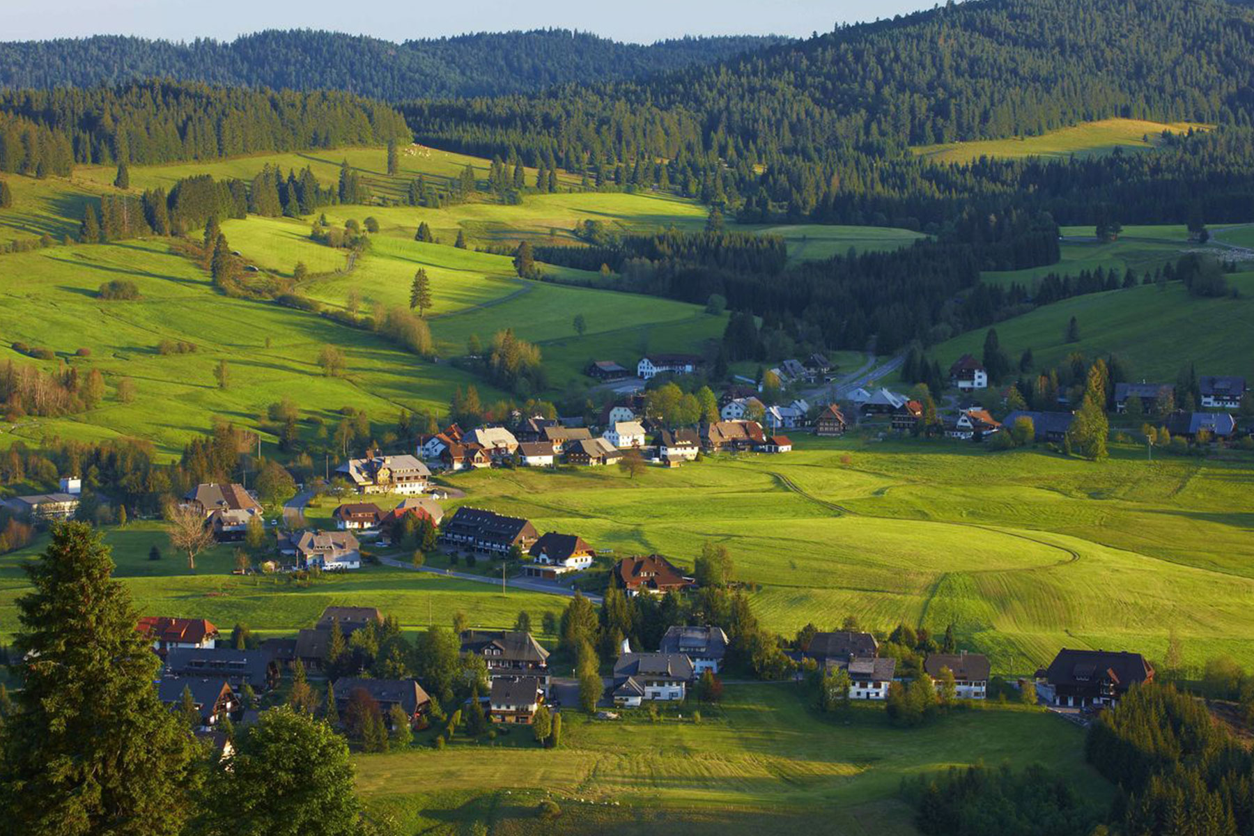 Schwarzwald-Landschaft mit Dorf, grünen Wiesen und Tannenwäldern, Heimat der Handlaufproduktion