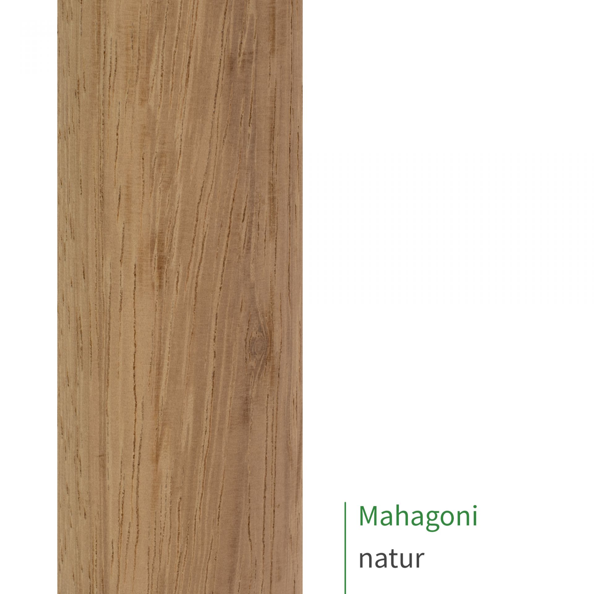 Handlauf Mahagoni oval | nach Maß | Treppe, Geländer, Wand