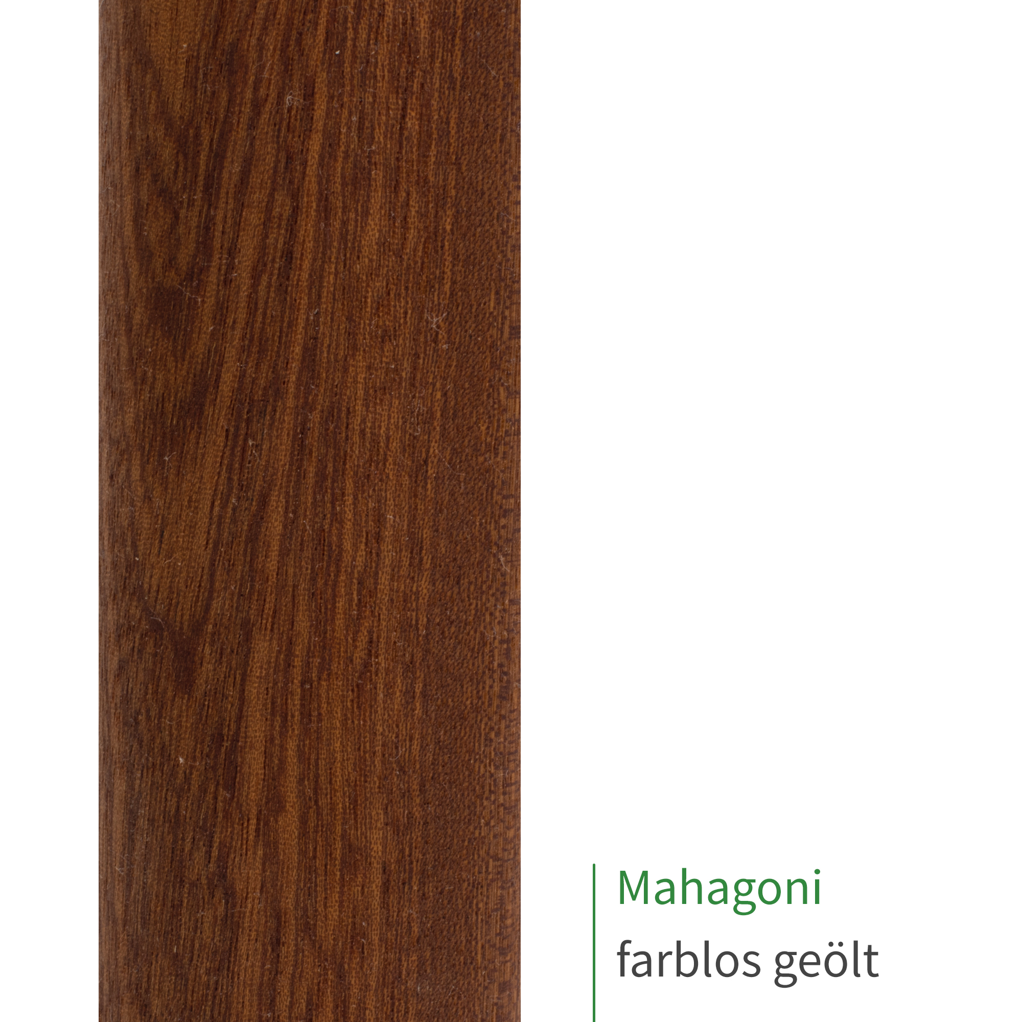 Handlauf Mahagoni omega | nach Maß | Treppe, Geländer, Wand
