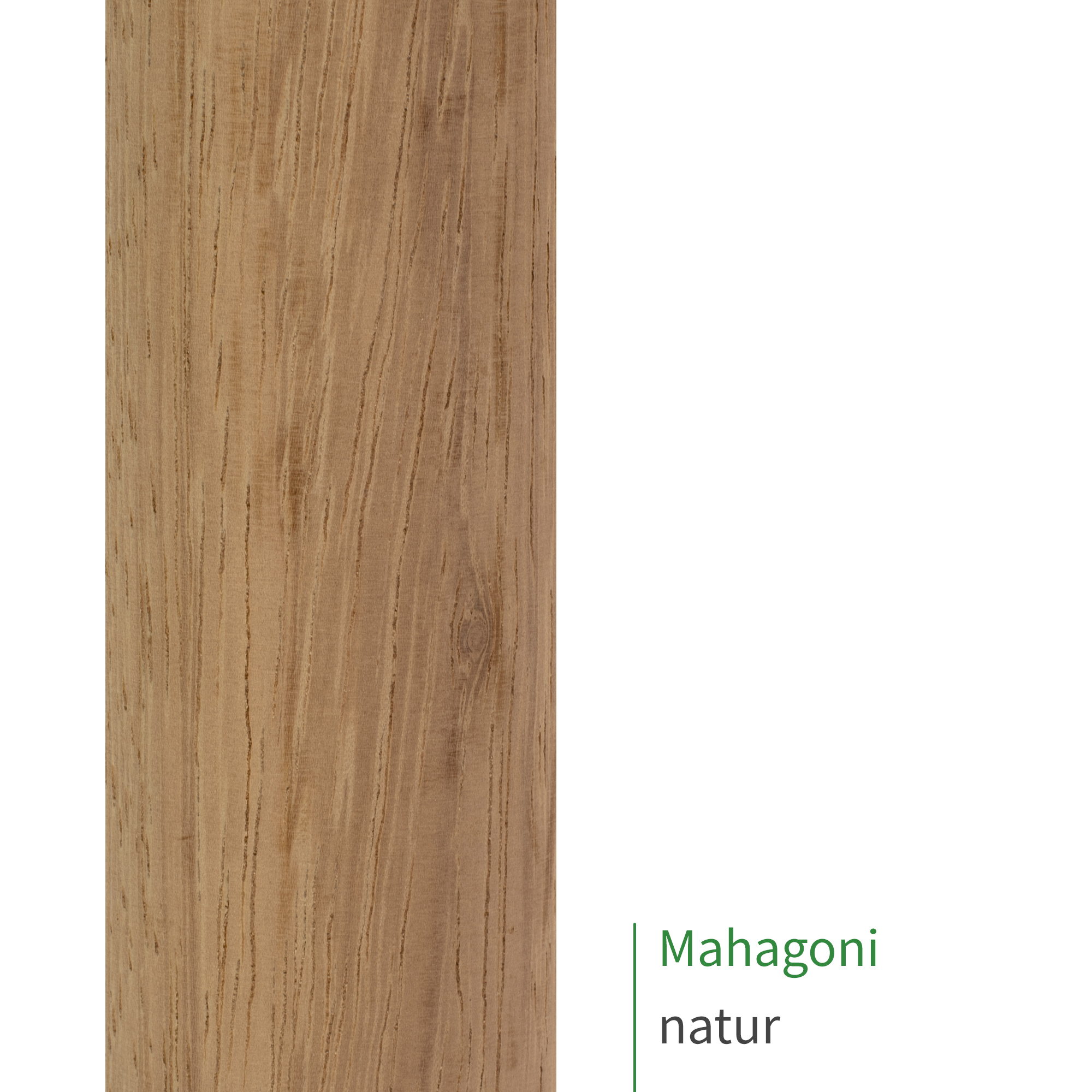 Handlauf Mahagoni omega | nach Maß | Treppe, Geländer, Wand